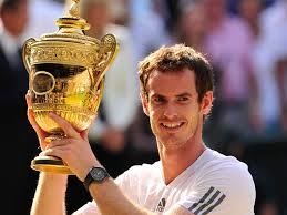 Wimbledon winner in 2013